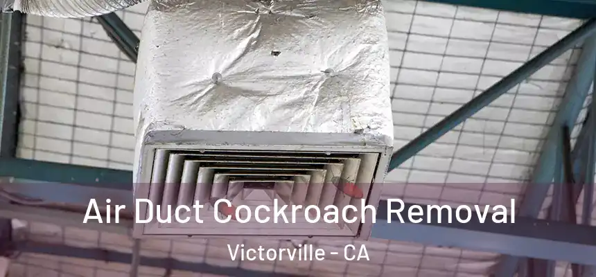 Air Duct Cockroach Removal Victorville - CA