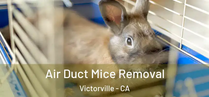 Air Duct Mice Removal Victorville - CA