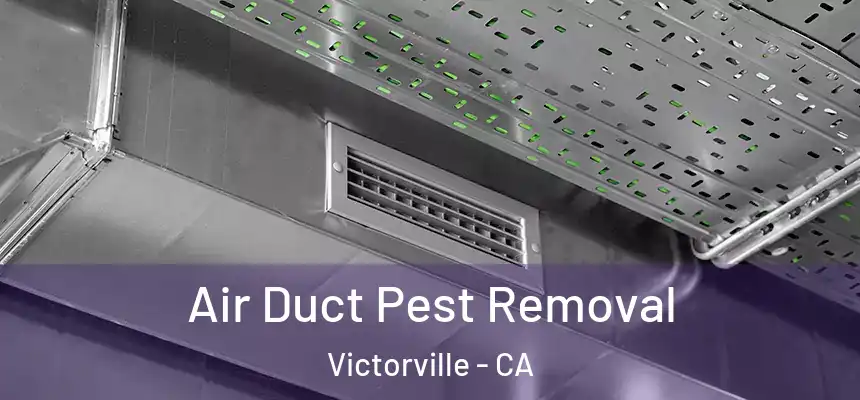 Air Duct Pest Removal Victorville - CA