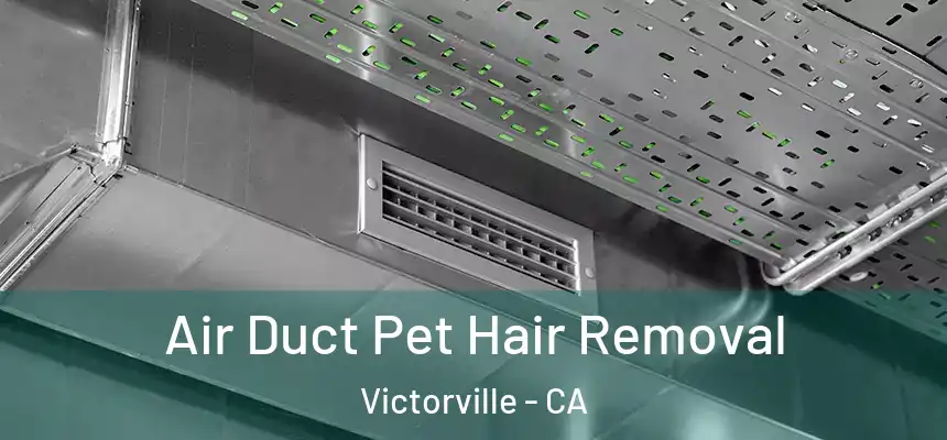  Air Duct Pet Hair Removal Victorville - CA