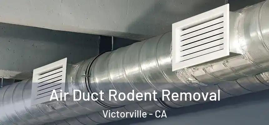 Air Duct Rodent Removal Victorville - CA