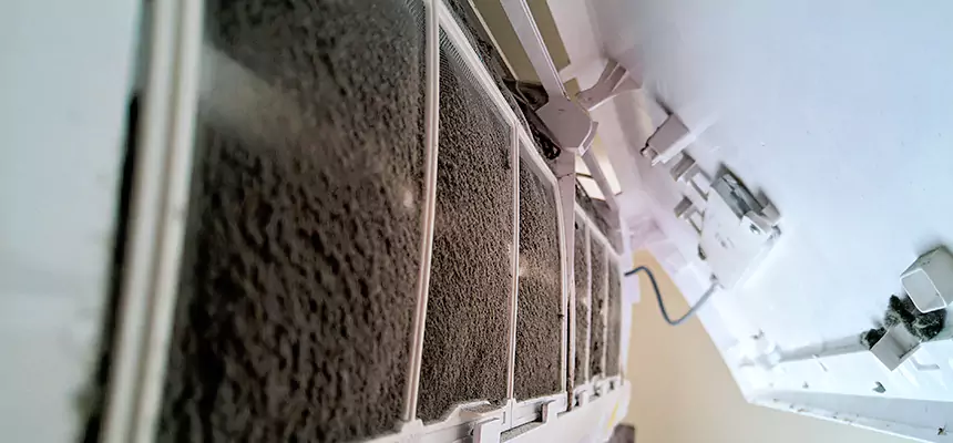 Preventive Air Duct Bacteria Removal in Victorville