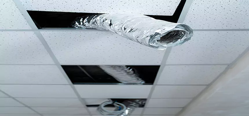 Our Air Duct Pet Hair Removal Services in Victorville, CA