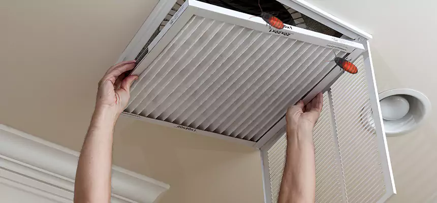 Our Insect Removal from Air Ducts Services in Victorville, CA
