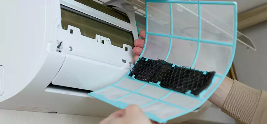 Gentle Ductwork Odor-Control Pet Dander Duct Cleaning in Victorville, CA