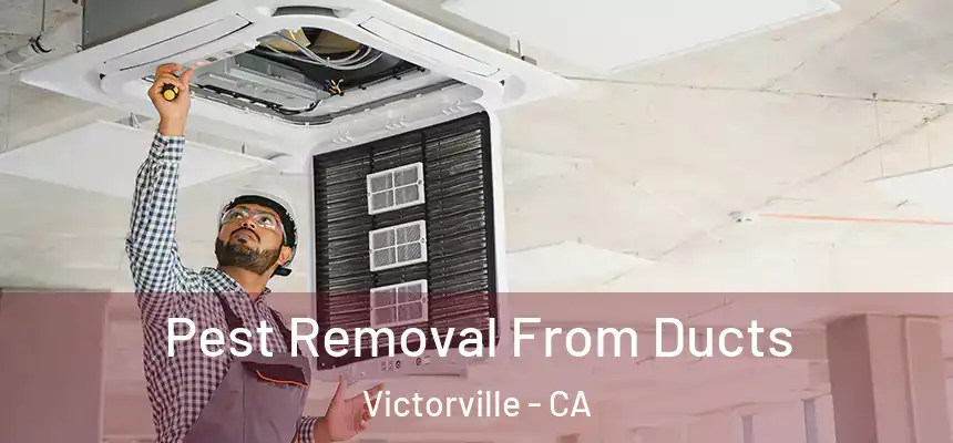 Pest Removal From Ducts Victorville - CA