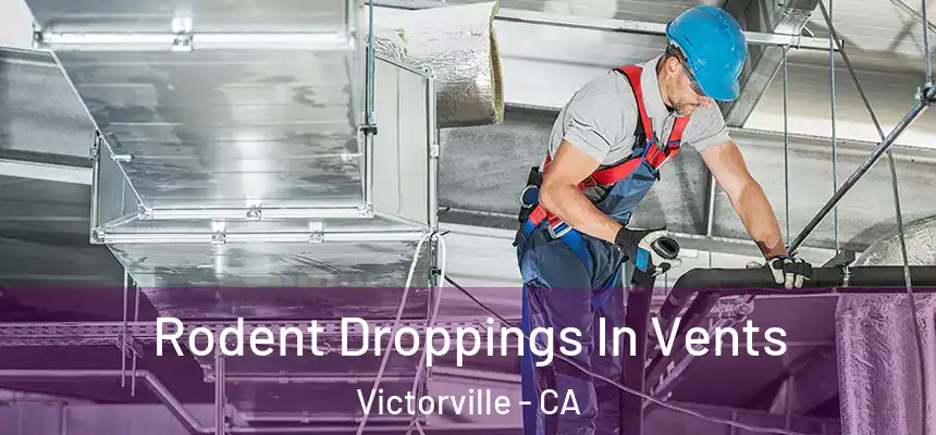 Rodent Droppings In Vents Victorville - CA