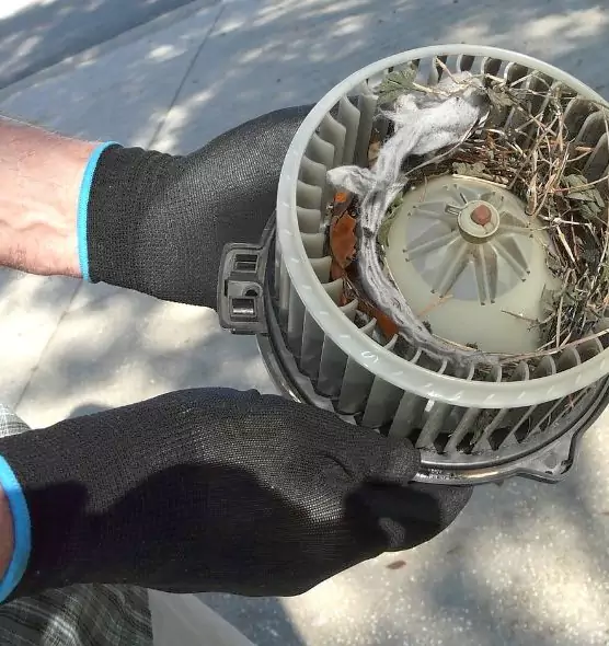 About Air Duct Mice Removal in Victorville, CA