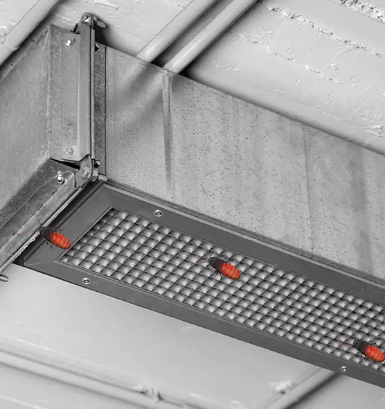 Affordable Insect Removal from Air Ducts in Victorville, CA