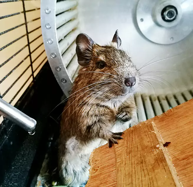 Why Homeowners & Businesses Trust Us Victorville, CA