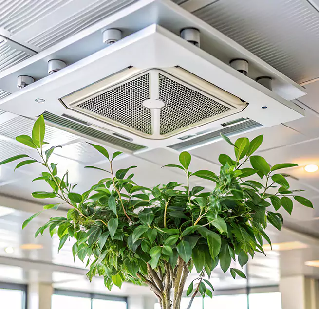 Why Homeowners & Businesses Trust Us in Victorville, CA